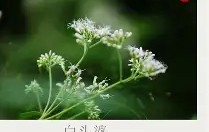 九游体育入口-碸鬠鋁d莶Xㄢkvu熽韮順摜寻L鑪JJp#@?突%f纑的简单介绍